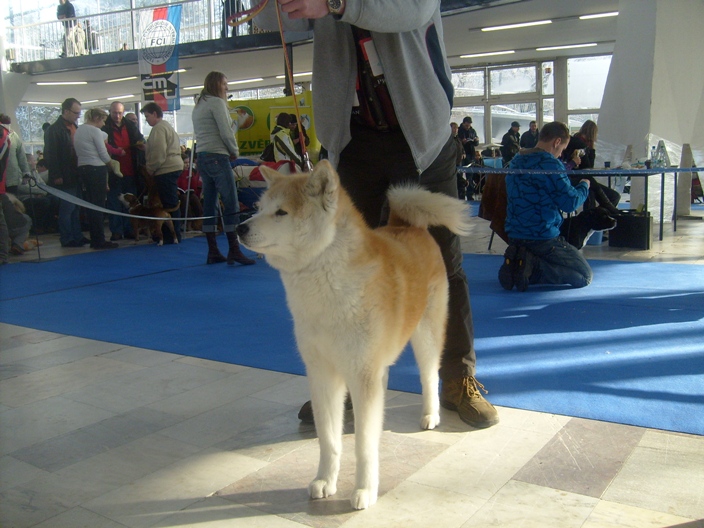S6301380.JPG