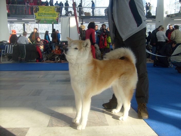S6301381.JPG