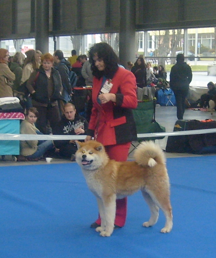 S6301398.JPG