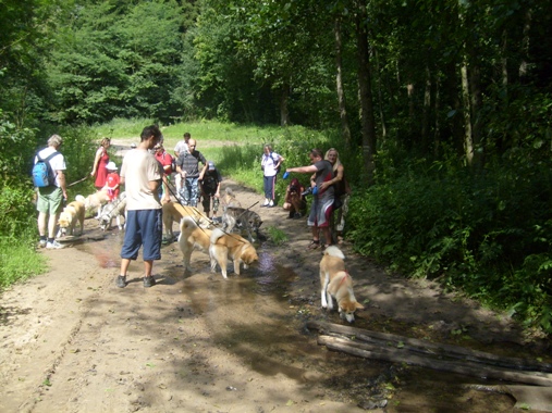 S6301591.JPG