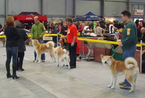 DSC03292.jpg