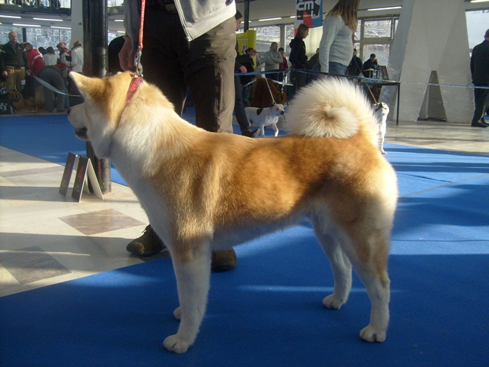 S6301379.JPG